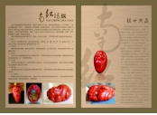 畫(huà)冊(cè)08