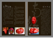 畫(huà)冊(cè)09